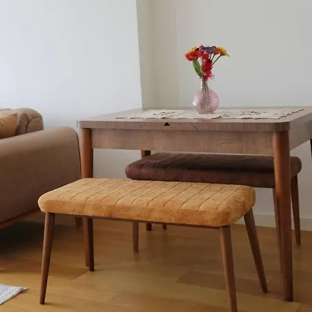Appartamento Furnished - G Tower Provincia di Istanbul
